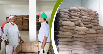 গম ব্যবসায়ীর গোডাউনে ১২৬৬ বস্তা সরকারি চাল