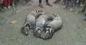 গন্ধ‌গোকুল হত্যার অ‌ভি‌যো‌গে থানায় জিডি