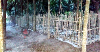 মেহেরপুরে এক মাসে দুই গ্রামে ৪৫ জনের মৃত্যু