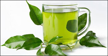 Green tea may significantly help in lowering diabetes: Study