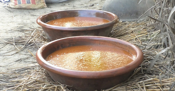 তাড়াশের গুড়ে মাতোয়ারা দেশ