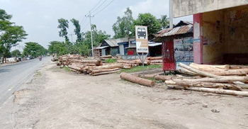 যাত্রী ছাউনি দখল করে কাঠের ব্যবসা
