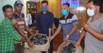 হাকালুকি থেকে ৬০টি পানকৌড়ির বাচ্চা উদ্ধার