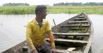 ধান হারিয়ে হাওরে ঈদ আনন্দ ম্লান