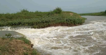 টাঙ্গুয়ার হাওরে ফের ভাঙলো বাঁধ, পানির নিচে ১০০ একর বোরো ফসল