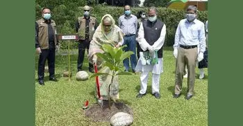 PM launches plantation of one crore saplings