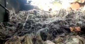 ইউপি নির্বাচন: স্বতন্ত্র প্রার্থীর কর্মীর ব্যবসাপ্রতিষ্ঠানে আগুন