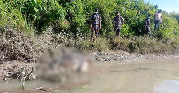 টেকনাফে পাহাড়ি ছড়ায় দেখা গেলো মৃত হাতি