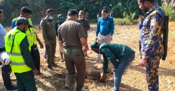 মরা শাবক পাহারা দিচ্ছিল মাসহ ৩ হাতি