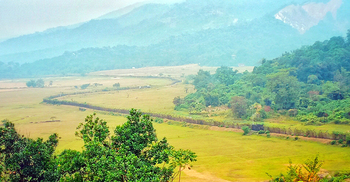 সীমানা পেরিয়ে বাংলাদেশে ঢুকলো পাঁচ বন্যহাতি
