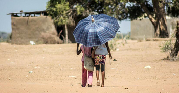 Future heatwaves will lead to large ‘loss of life’, report warns