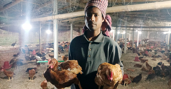 আর্জেন্টিনার খেলা উপলক্ষে সোনালি মুরগিতে বিশেষ ছাড়