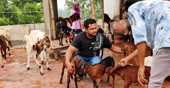 তিনতলায় ছাগলের খামার, একেকটির দাম ২৫ হাজার থেকে দুই লাখ