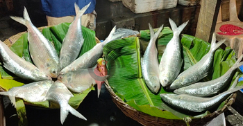 আকাশছোঁয়া দামে সাধ্যের বাইরে ইলিশ