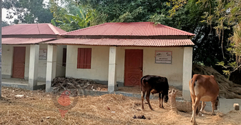 উপহারের ঘর মাসের পর মাস তালাবদ্ধ, সামনে চরে গরু-ছাগল