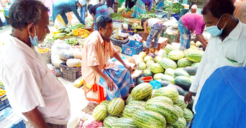 গ্রামে কৃষকের বেচা ৬০ টাকার তরমুজ শহরে ২৫০ টাকা!