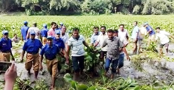 সুনামগঞ্জে ‘কচুরিপানা’ নিয়ে সংঘর্ষের সংবাদটি ভুয়া