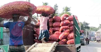 দাম কম থাকায় ঘরেই পেঁয়াজের মজুত করছেন চাষিরা