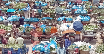 কানসাটে স্বাস্থ্যবিধি মেনে জমে উঠছে আম বাজার