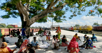 কোরবানির ঈদ এলেই ঈশ্বরদী আসেন তারা