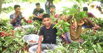 সরকারের বিশেষ ট্রেন চালুতে ক্ষতি কমেছে ফল ব্যবসায়ীদের