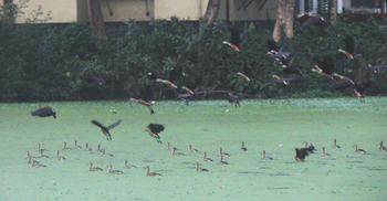 শিক্ষার্থী শূন্য ক্যাম্পাসে শীতের সকাল