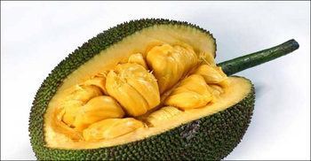 Green jackfruit flour helps control Type 2 diabetes: Study