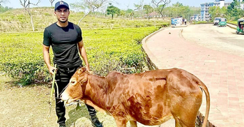 তিনটি গরু কোরবানি দেবেন জামাল ভূঁইয়া, ঈদ করবেন কিশোরগঞ্জে