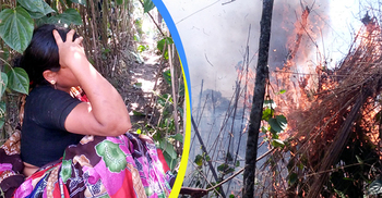 আগুনে পুড়ল ১০ বিঘা জমির পান, জ্ঞান হারালেন চাষি