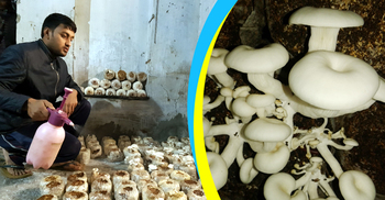 ৩০ হাজারে শুরু, এখন মাসে আয় ২০ হাজার টাকা