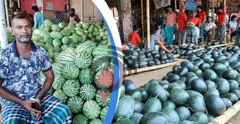 তুমুল চাহিদায় সর্বোচ্চ দামে চলছে তরমুজের কেনা-বেচা