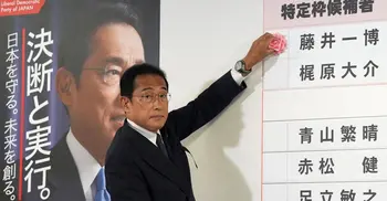 Japan's ruling party secures sombre election win