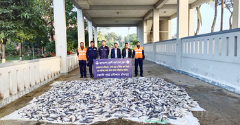 চাঁদপুরে জব্দ ৫০ মণ জাটকা গেলো এতিমখানায়