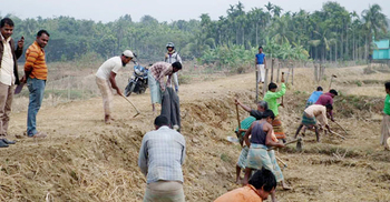 শার্শায় কর্মসৃজন প্রকল্পে দুর্নীতির অভিযোগ