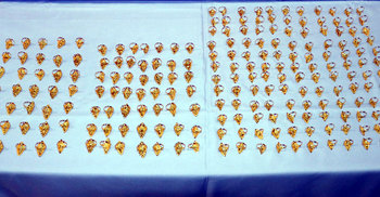 পরিত্যক্ত ব্যাগে মিলল ২১৬টি স্বর্ণের আংটি