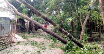 ঝড়ে ঘরের খুঁটির নিচে পড়ে নারীর মৃত্যু