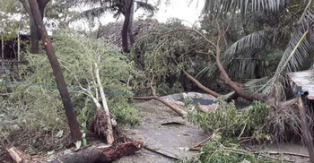 বাগেরহাটে ‘বুলবুল’র তাণ্ডবে গাছচাপায় কিশোরী নিহত