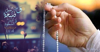 কোন সময় কোন জিকির করবেন?