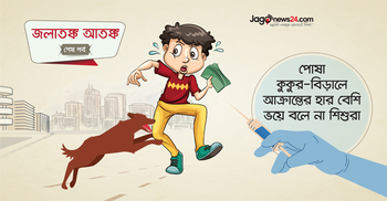 পোষা কুকুর-বিড়ালে আক্রান্তের হার বেশি, ভয়ে বলে না শিশুরা