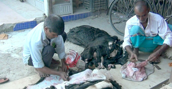 জয়পুরহাটে খাসির চামড়া ৫ টাকা
