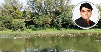 ‘অতিথি নয়, পরিযায়ী পাখি বলাই যৌক্তিক’