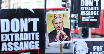 Julian Assange loses extradition bail bid