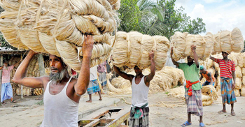 পাটের দামে বেজায় খুশি কৃষক