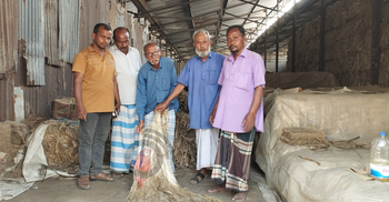 দিন দিন কমছে পাট চাষ, বন্ধ হচ্ছে কারখানা