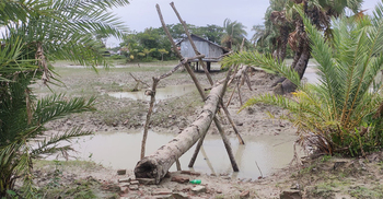 তিন কিলোমিটার রাস্তায় ৯টি সাঁকো, এলাকা ছাড়ছে মানুষজন