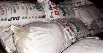 করিমগঞ্জে ডিলারের গোডাউনে থেকে ৮২৬ বস্তা সার উদ্ধার