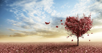 Karma Sutra: What is love?