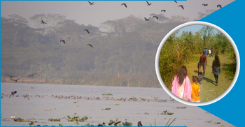 পরিযায়ী পাখি আর পর্যটকে মুখর ছৈলার চর