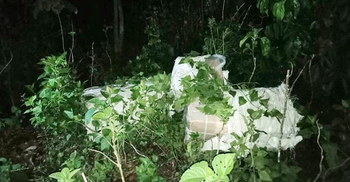 জঙ্গলে পড়েছিল ১০ লাখ টাকার ভারতীয় ওষুধ