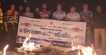 চাঁদপুরে মেঘনা নদীতে ইলিশ শিকারের দায়ে ৮ জেলের কারাদণ্ড